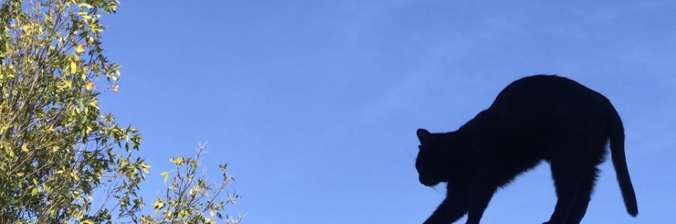 86bfK's profile banner image