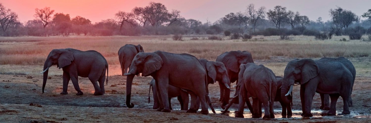 Q2Travel's profile banner image