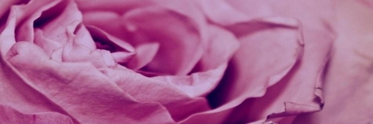 ahartlands's profile banner image