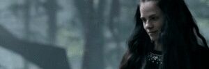 Asha banner