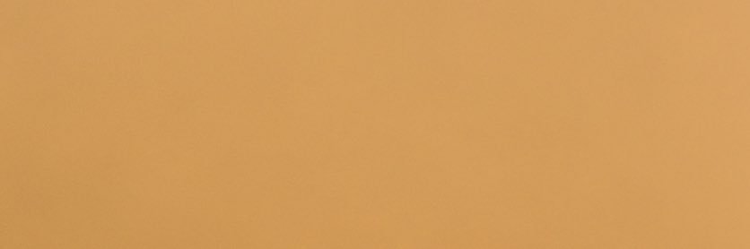 Brothers Beard ® banner