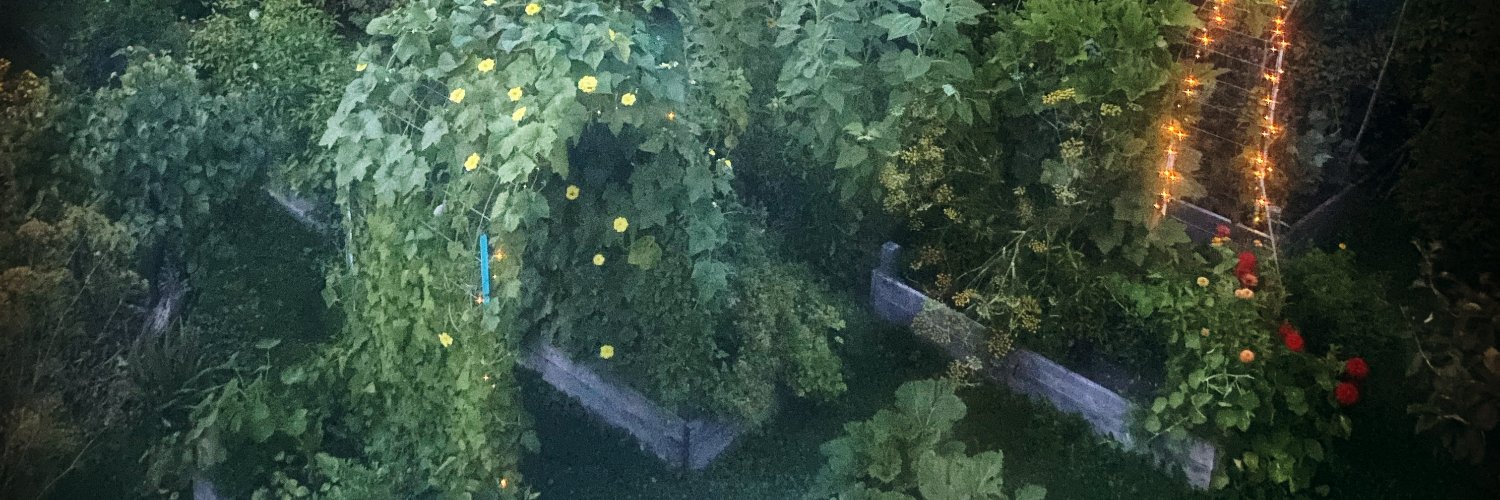 SSpottery's profile banner image