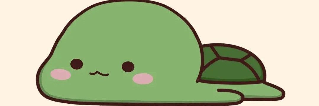 Miririiiii 🐢 banner