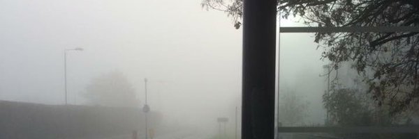 PIPPAJA Profile Banner