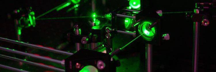 Tania Mendonca banner