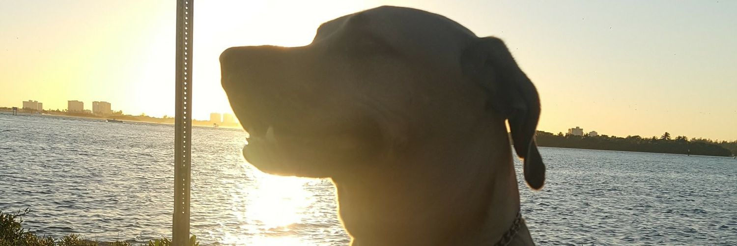 DAlfonsoMendez's profile banner image