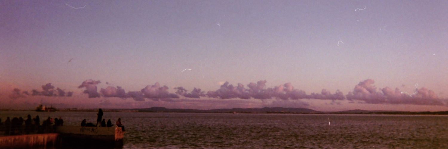 mini_freslon's profile banner image