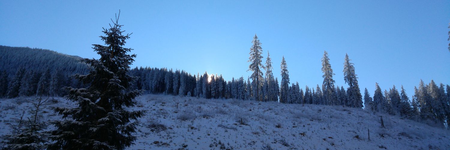 AlexBogdi's profile banner image