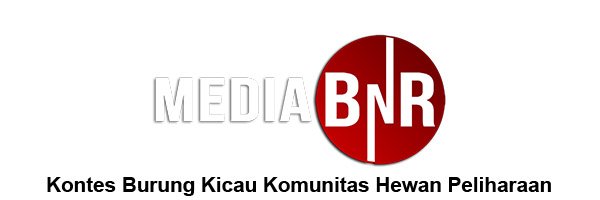 MediaBnR's profile banner image