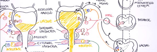 NkwamN Profile Banner