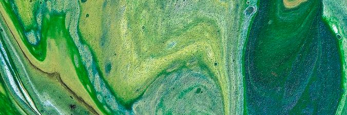 Guardy on RuneScape🐸 banner