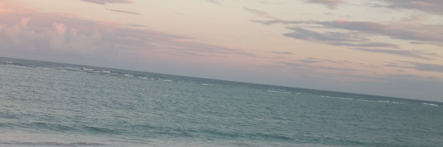 judyneno's profile banner image