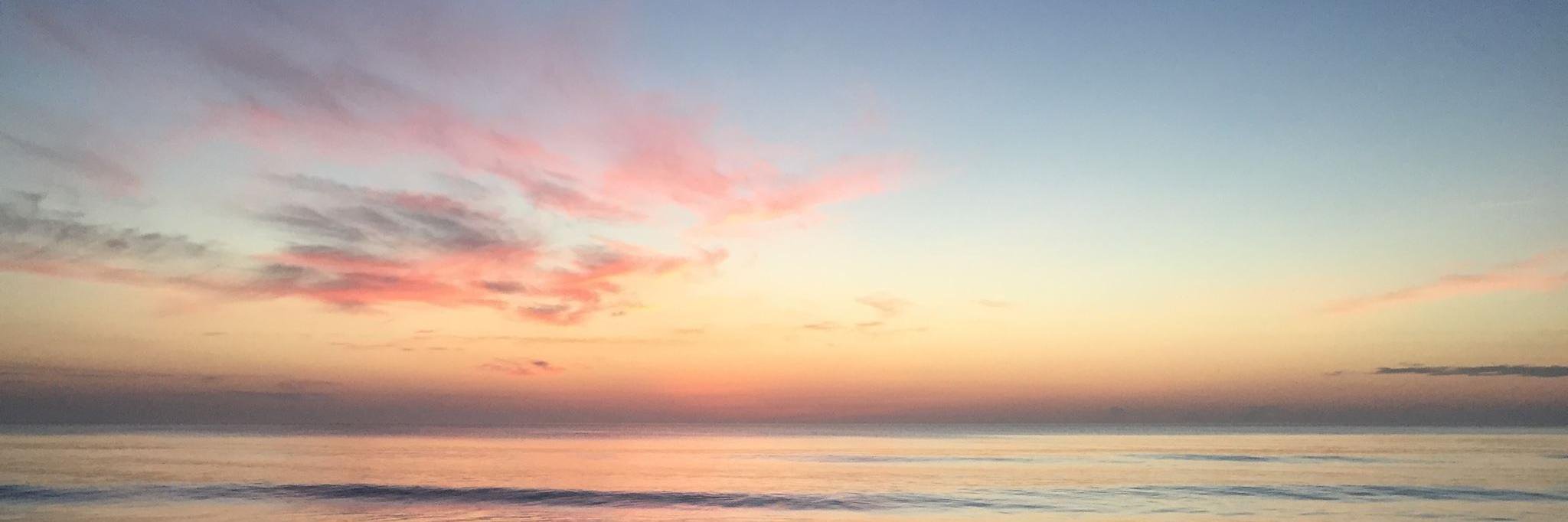 vickiefrieling's profile banner image