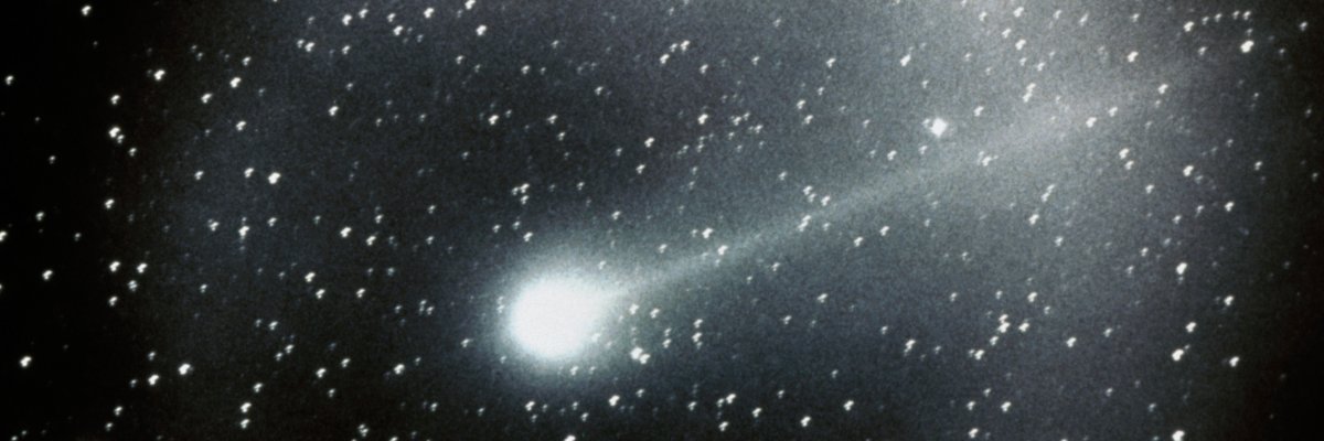 ShieldofDavid's profile banner image