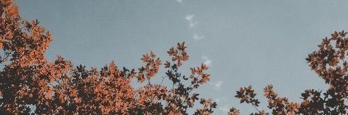 eleonoravaln's profile banner image
