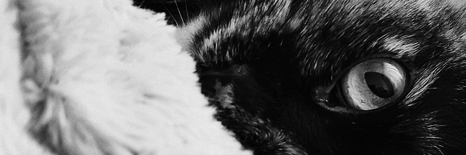 🖤E banner