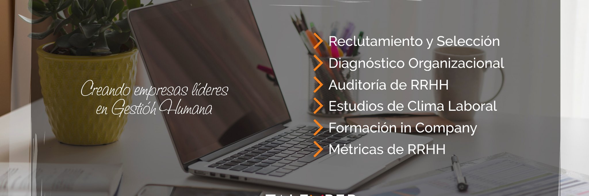 TALEXPER Consultora banner