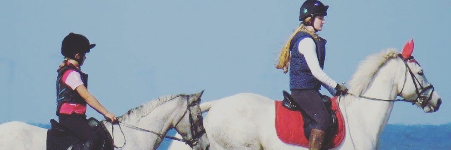 KimmRuddock's profile banner image
