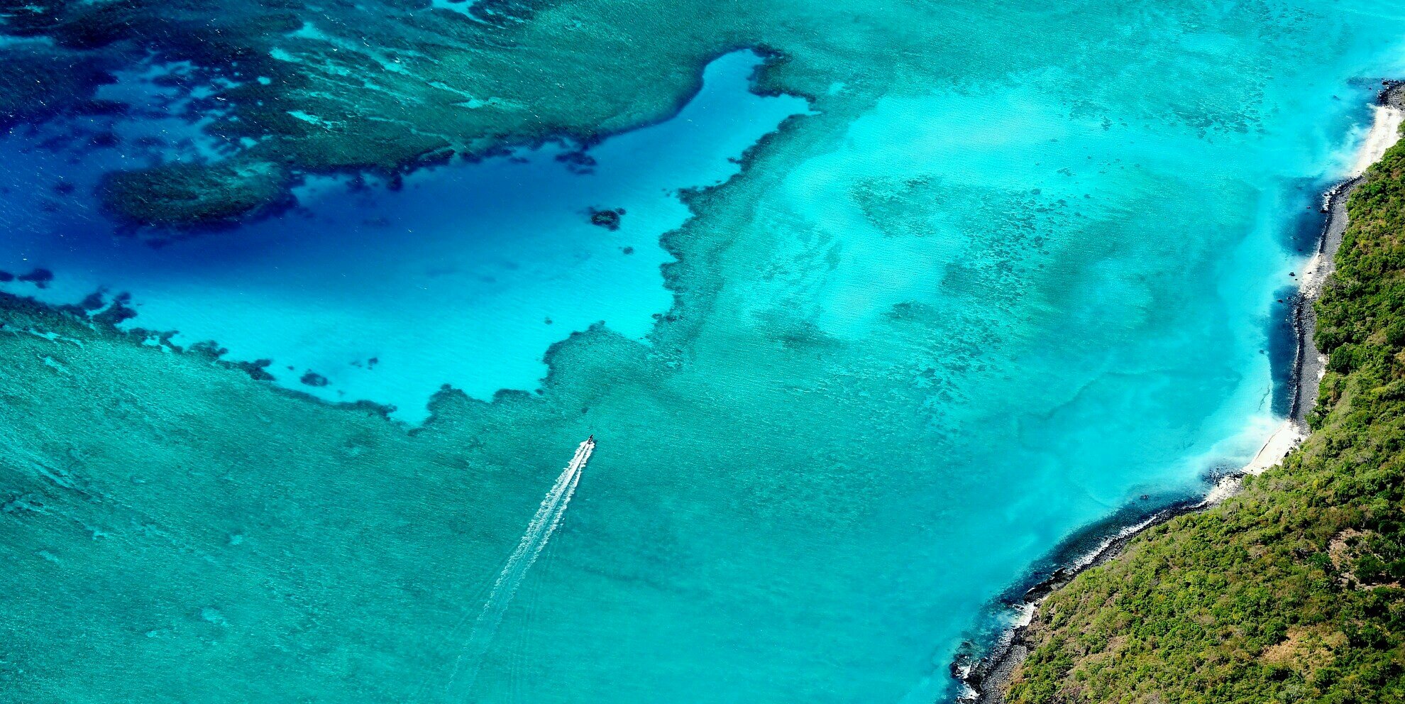 Patrice Sanchez banner