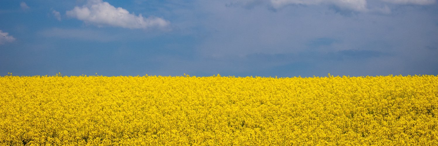 Sadistisches BonkAmt 🇺🇦🇪🇺🇨🇦🇬🇱🇬🇪 banner