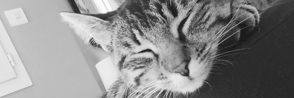 JSeveno's profile banner image