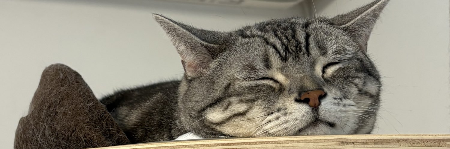 xhoux's profile banner image