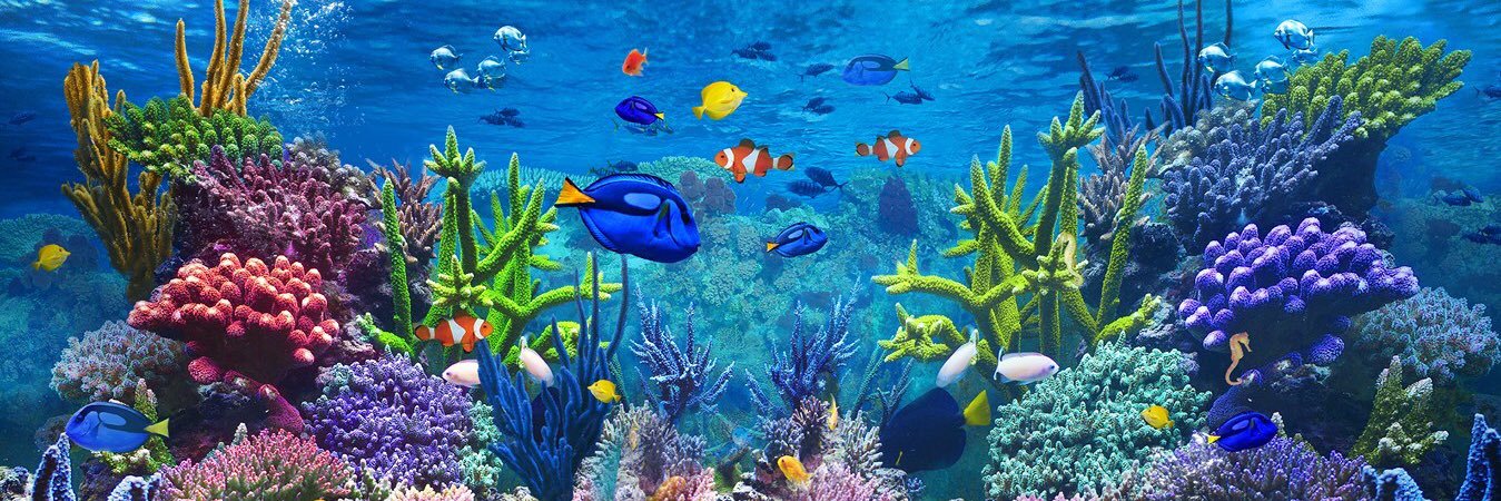 torontofishsave's profile banner image