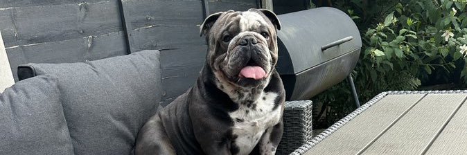 WeblyJames's profile banner image