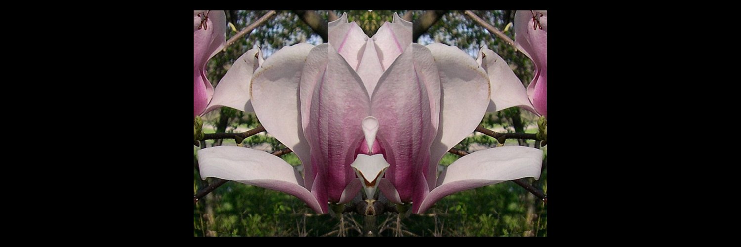 DavelyDave's profile banner image