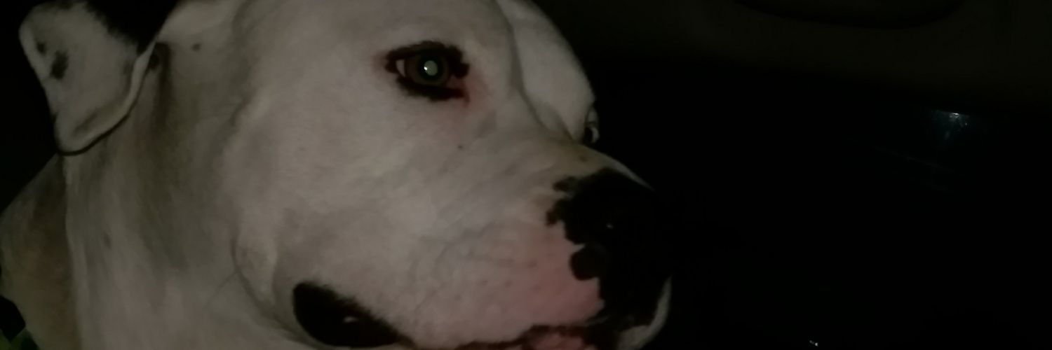 BryanLV4Sprint's profile banner image