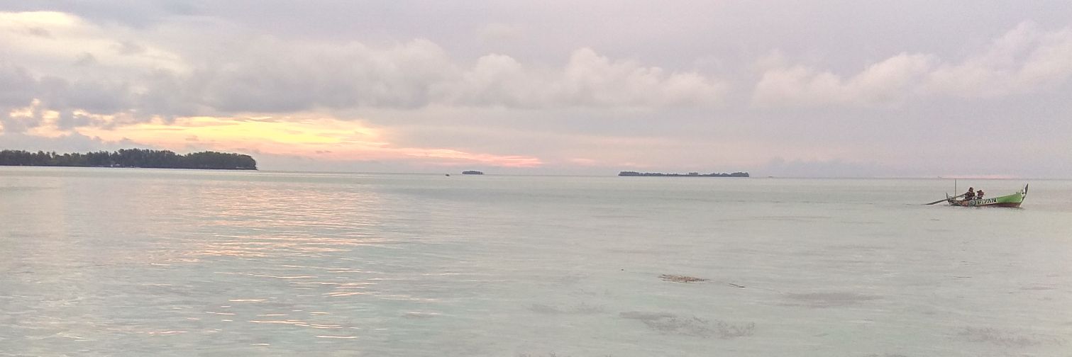 tasya satrianda banner