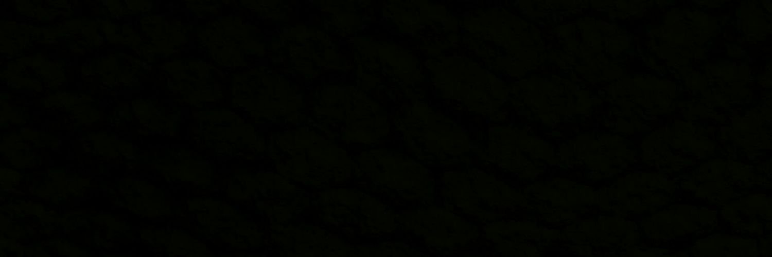 vivihuntwt's profile banner image