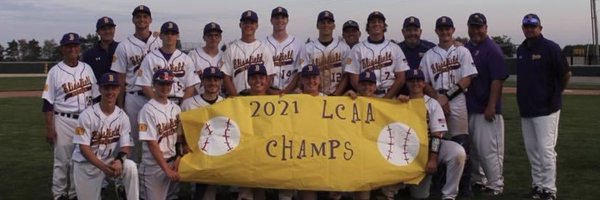 Blissfield Baseball Profile Banner