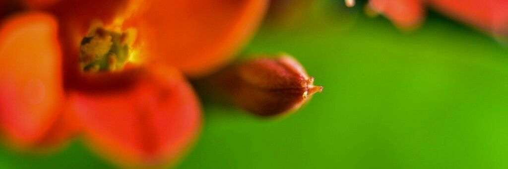 surajkmali's profile banner image
