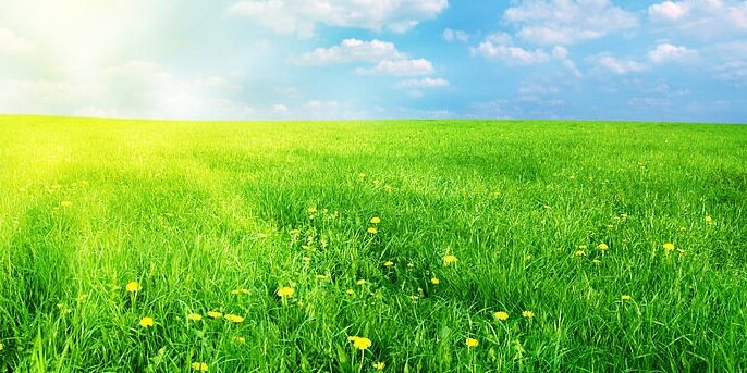 The Teamlandscapers banner