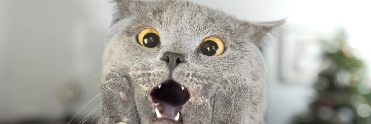 damiandagger's profile banner image