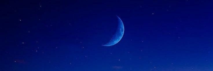 Laura Archuleta banner