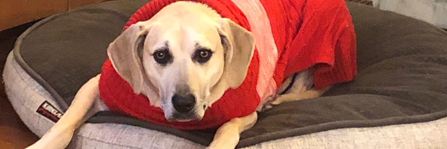 E banner