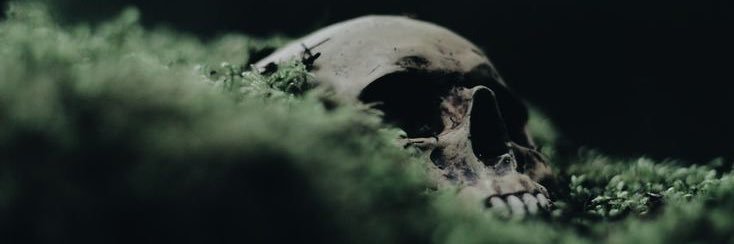 star_child427's profile banner image