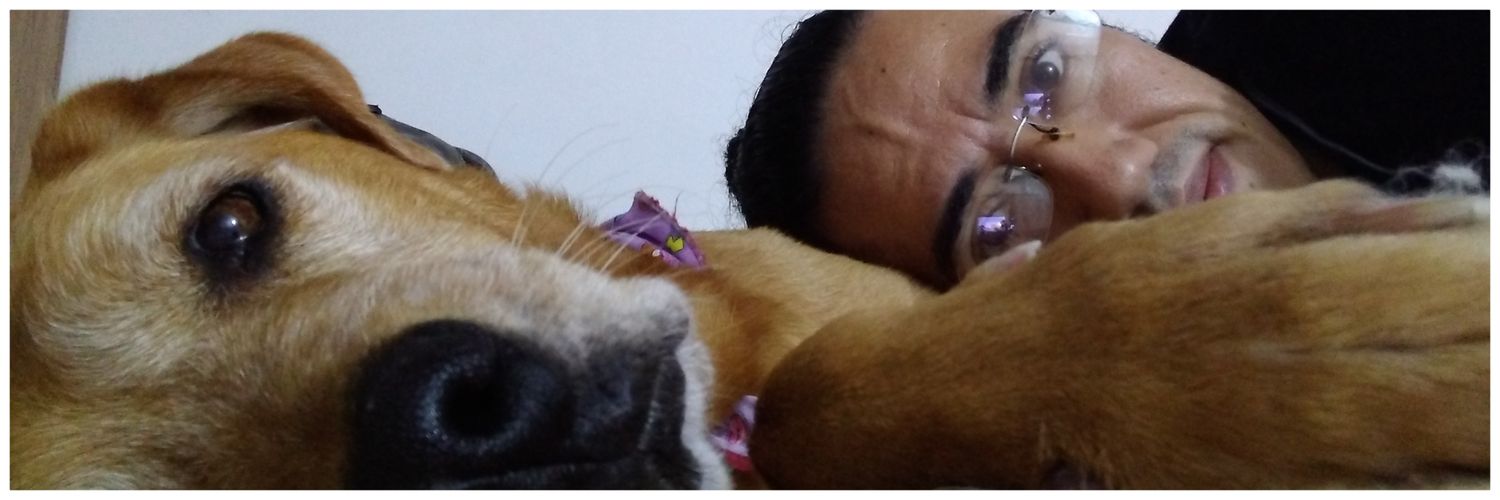 AlexOrfeo's profile banner image