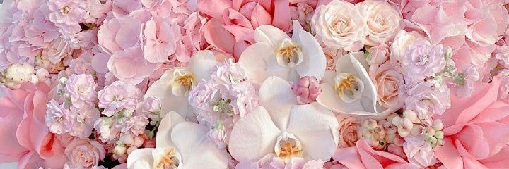 bintisaguti's profile banner image