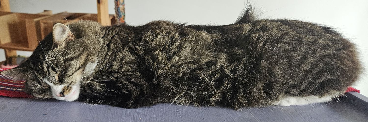 MJ (Strongest Boy Moder) 🏳️‍⚧️ banner