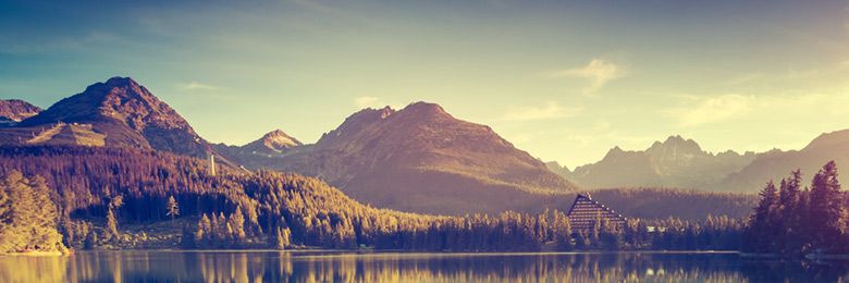 Crypto Gem Insider🎏 banner