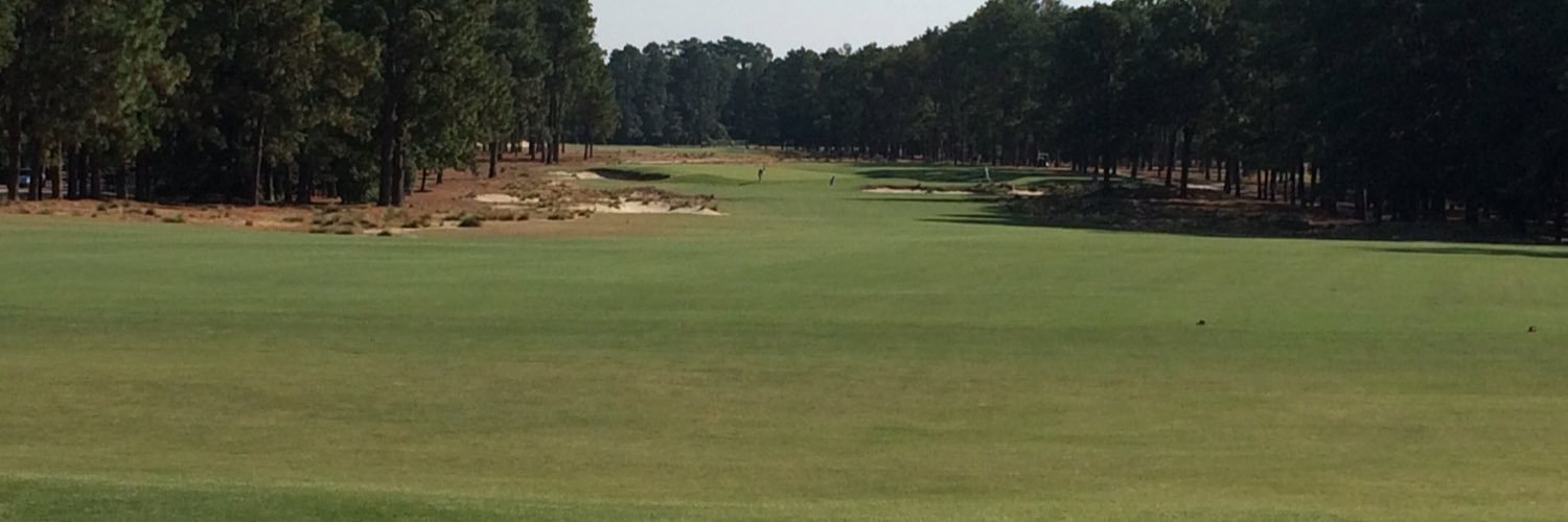 wslgolf banner