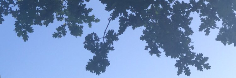dlrichards93's profile banner image