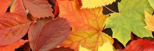 ValeeeViillegas's profile banner image