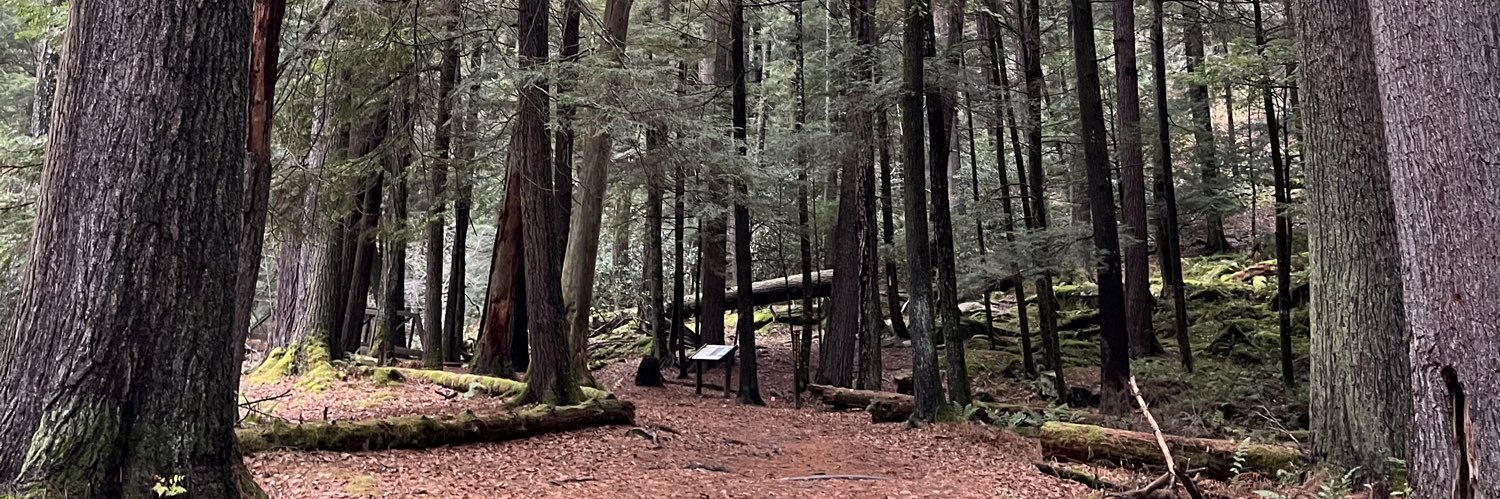 wsb_destiny's profile banner image