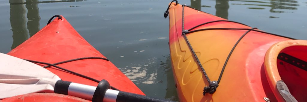 Maureen Cooper banner