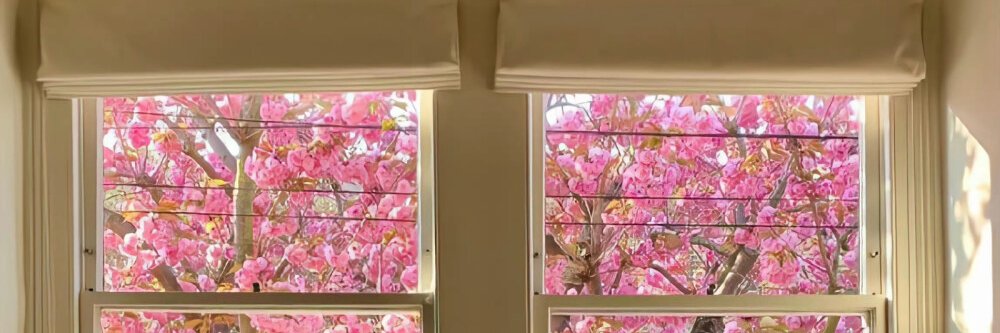 emi0522ri's profile banner image