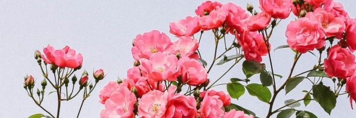 Melaaand9's profile banner image